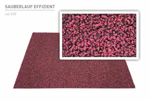 Sauberlaufmatte Effizient